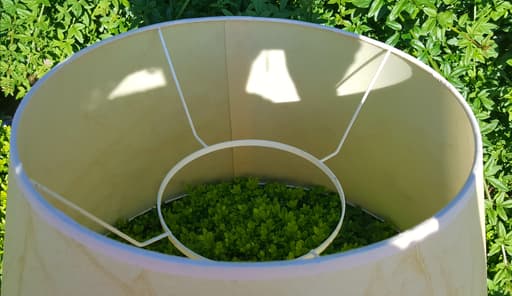 Abat-jour Vessie de Porc - Les abat-jour d’illumine