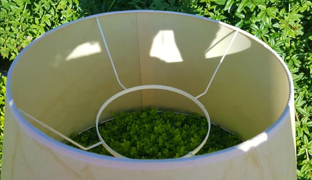 Abat-jour Vessie de Porc - Les abat-jour d’illumine