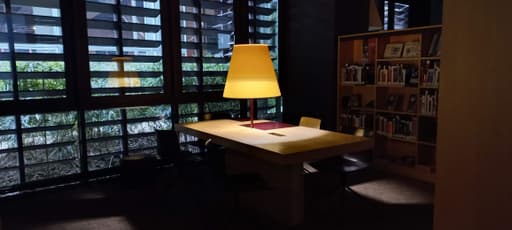 LE MUSEE DU QUAI BRANLY - ABAT-JOUR