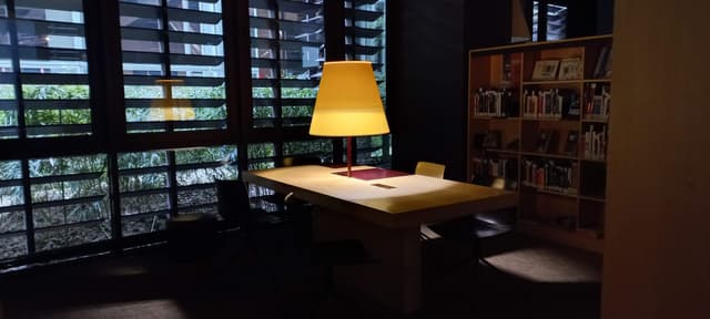 LE MUSEE DU QUAI BRANLY - ABAT-JOUR