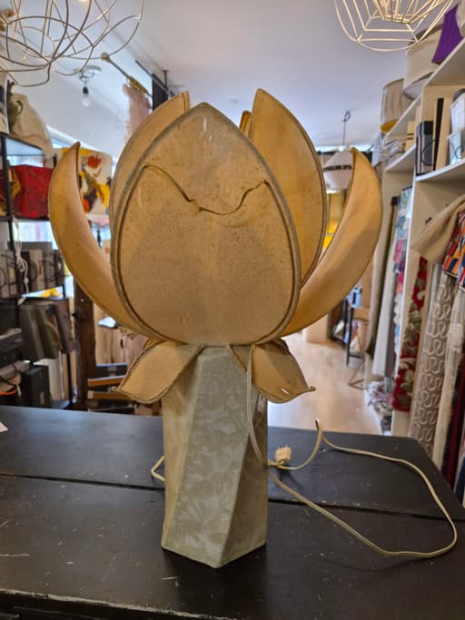 Avant la restauration de l'abat-jour Lotus (view 5) (vue 5)