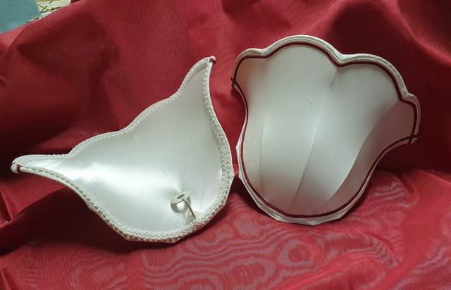 RESTAURATION APPLIQUE