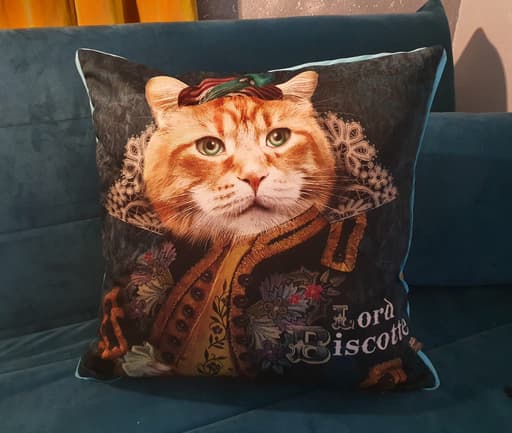 Housse de Coussin LORD BISCOTTE