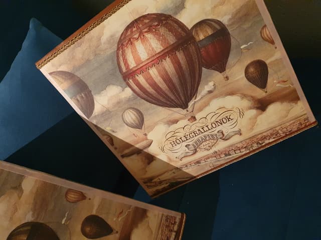 APPLIQUE LES MONTGOLFIERES