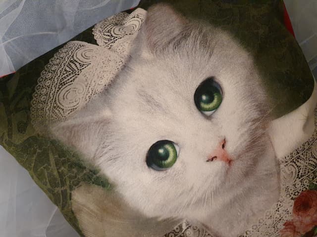 Coussin MIMI LA BRETONNE