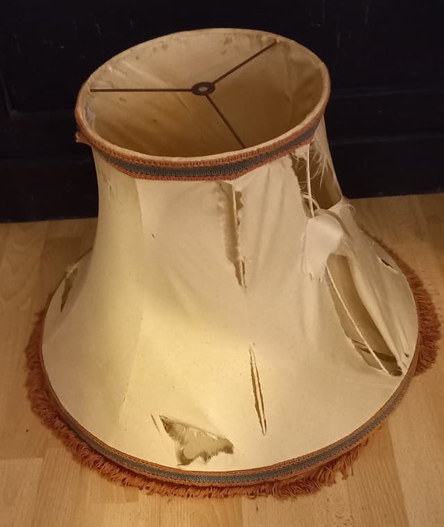 LA PAGODE A BANDEAU - RESTAURATION