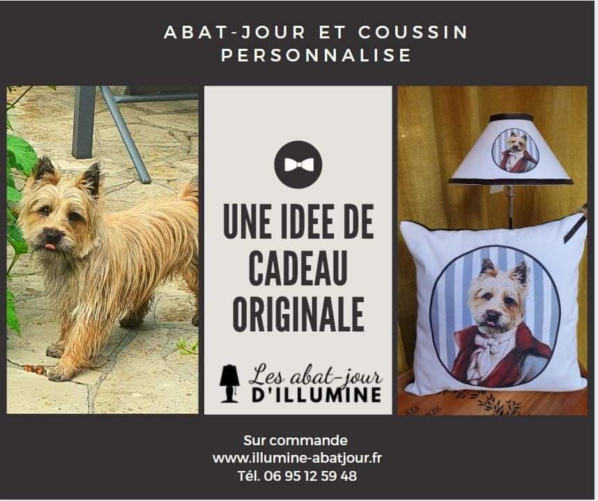 ABAT-JOUR PERSONNALISE AVEC PHOTO — photo produit
