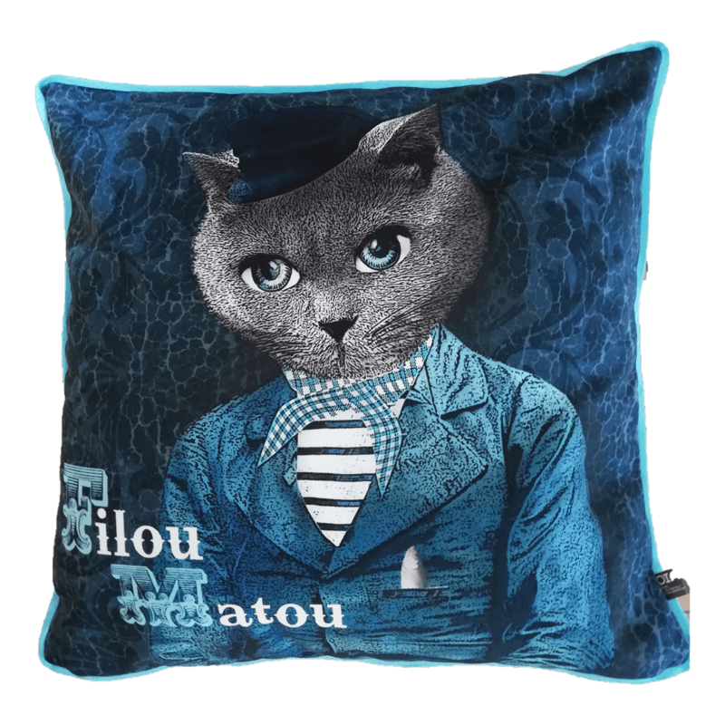 FILOU LE MATOU .. Le coussin — photo produit (vue 1)