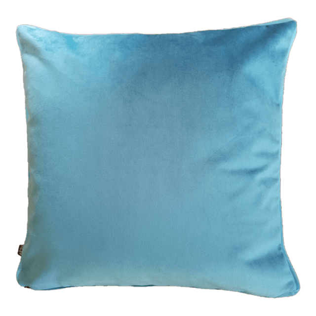 FILOU LE MATOU .. Le coussin