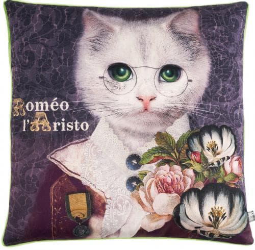 ROMEO L'Aristo ... Le Coussin