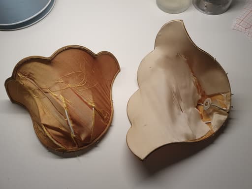 RESTAURATION APPLIQUE