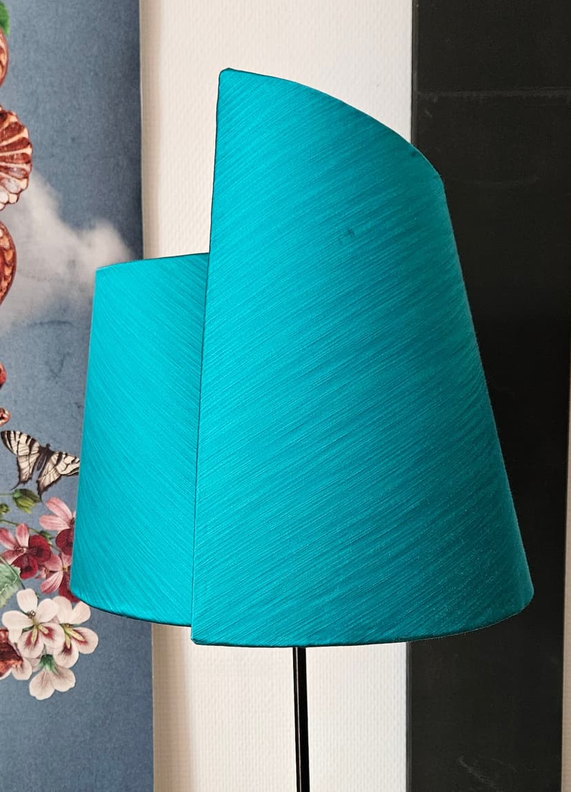 L'escargot turquoise